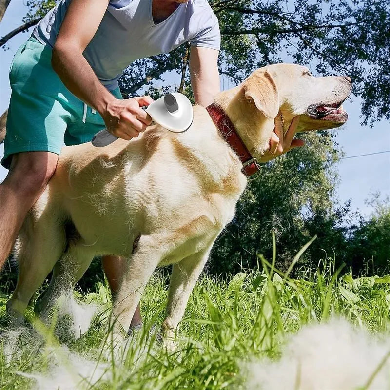 Gentle Self Cleaning Pet Hair Remover Brush For Dog and Cat Grooming